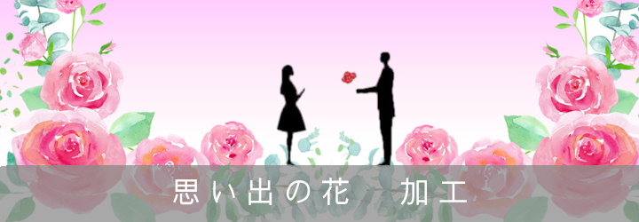 トップ