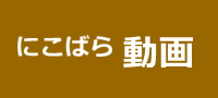 本日のおすすめ