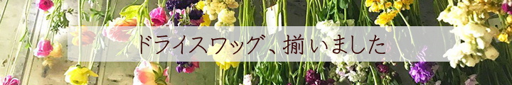 トップ