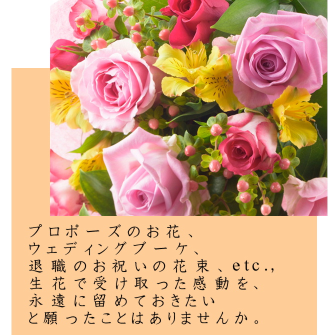 トップ