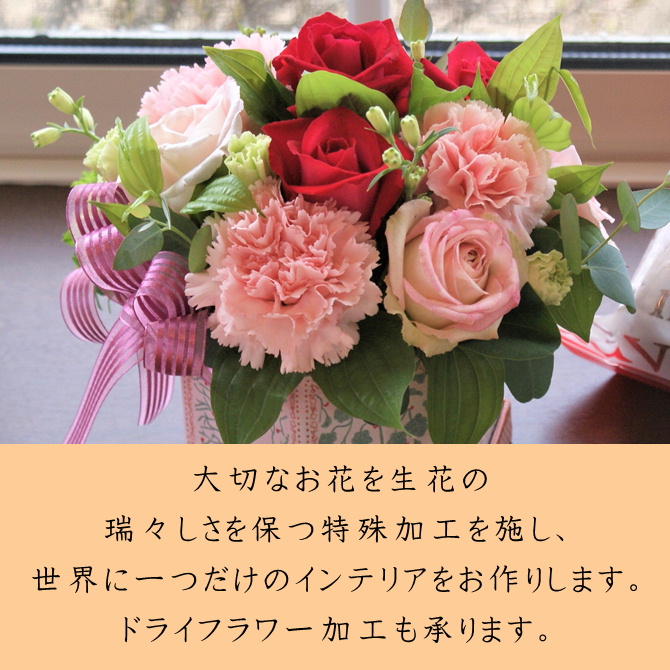 トップ