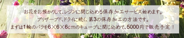 ローズリウム 保存加工サービス