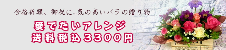 トップ