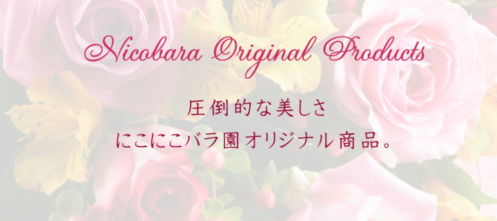 センターナビ