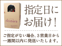 指定日にお届け！ご指定のない場合、３日後から一週間以内に発送いたします。