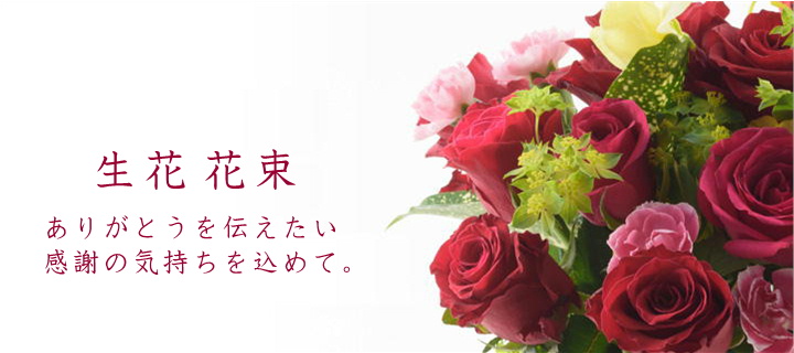センターナビ