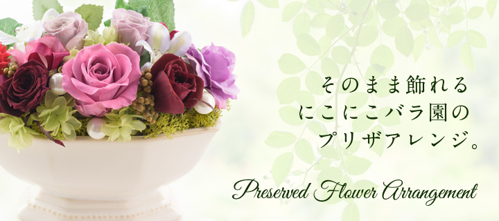 センターナビ