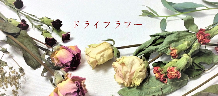 センターナビ