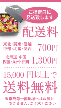 送料700円から(15000円以上で送料無料)